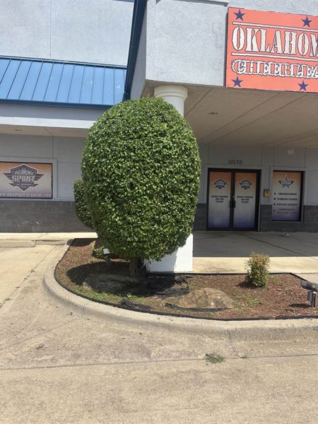 Commercial building entrance with a tall shaped topiary shrub